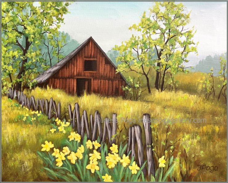 Old weathered barn in spring landscape with yellow daffodils