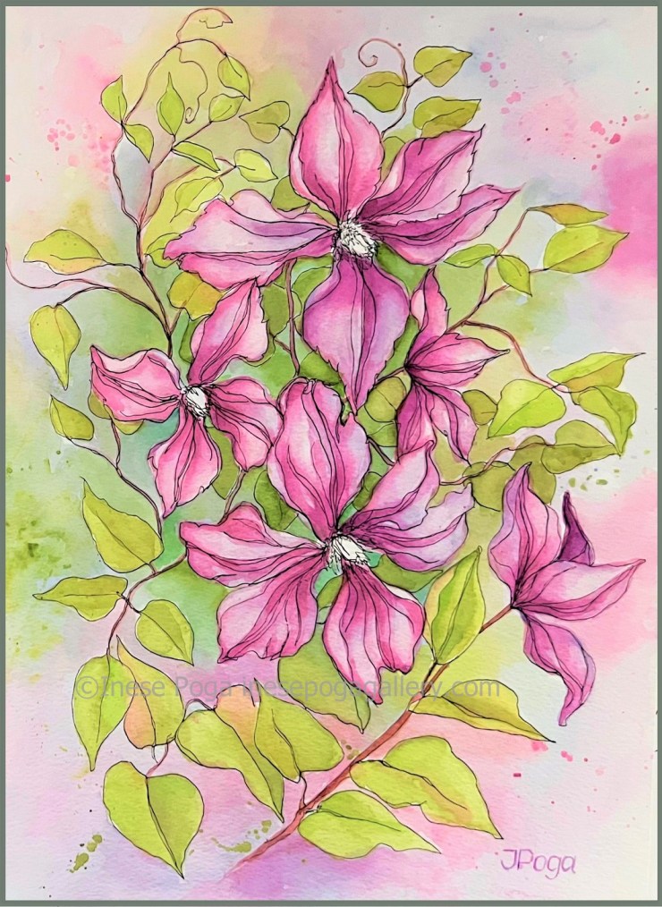 Clematis blooms, watercolor painting