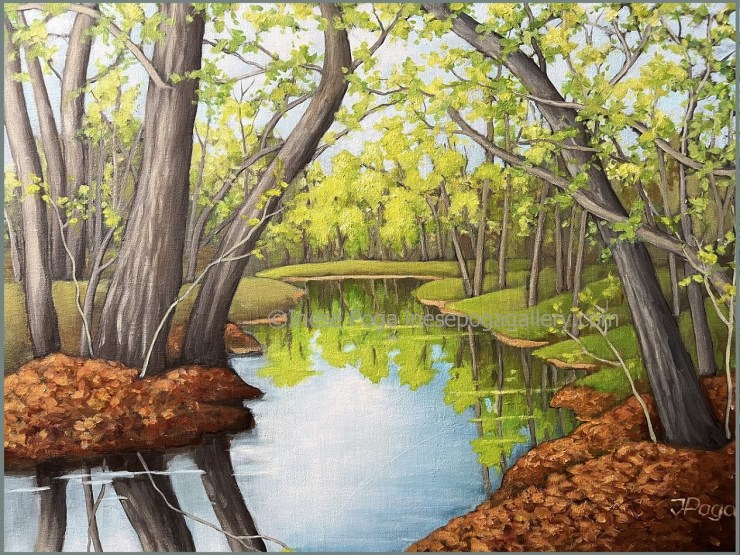 Creek reflections with large trees