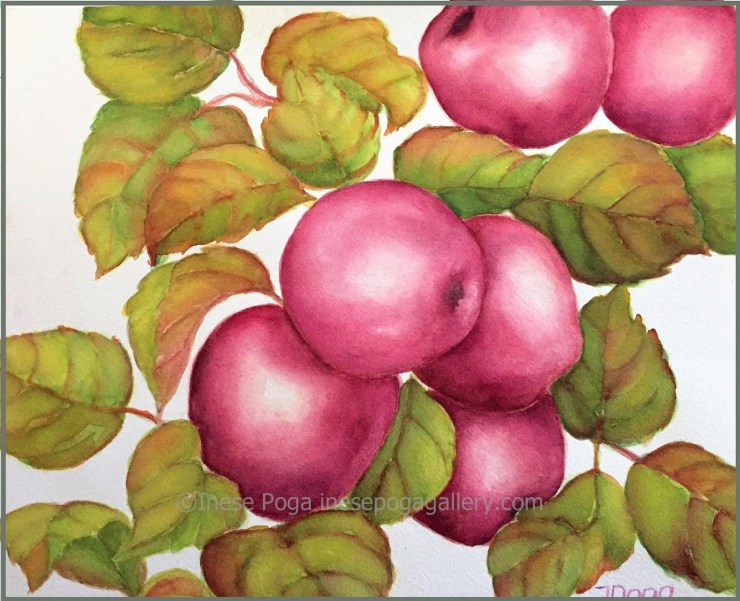 Red apples, watercolor painting for sale