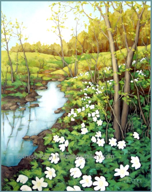 Spring creek