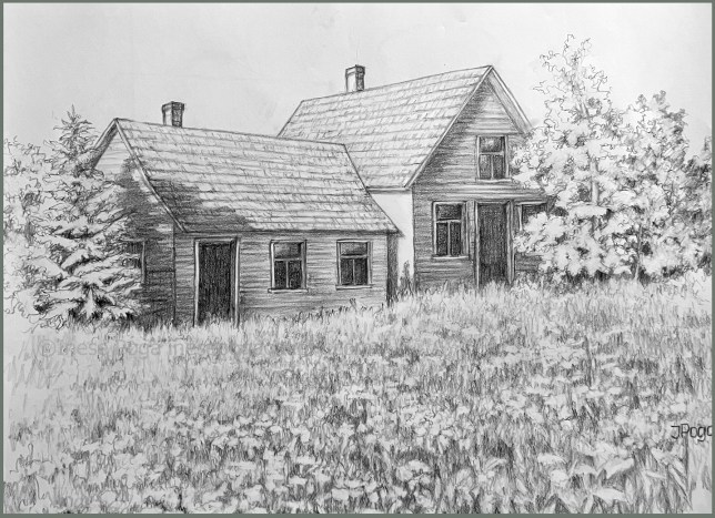 pencil drawing, summer in the country