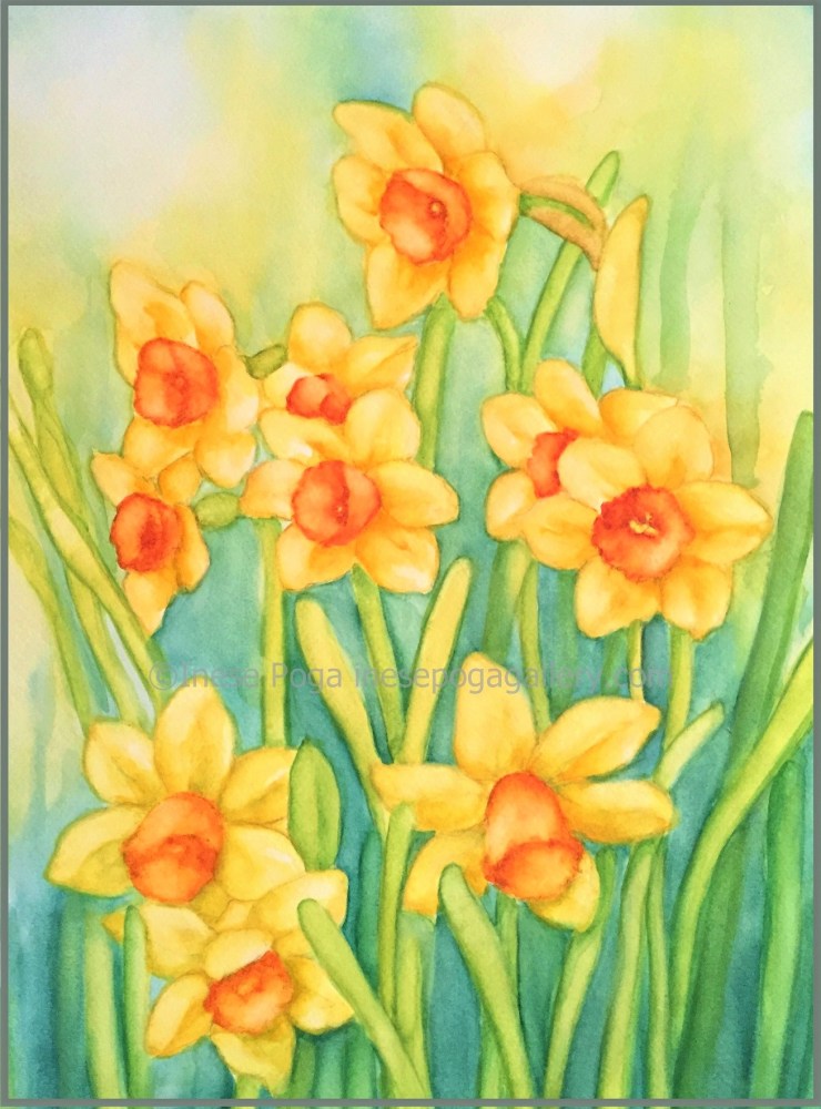 Yellow spring daffodils, watercolor paintings