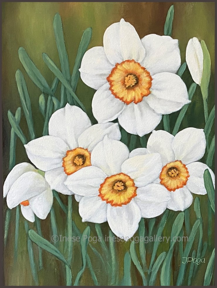 White spring daffodils