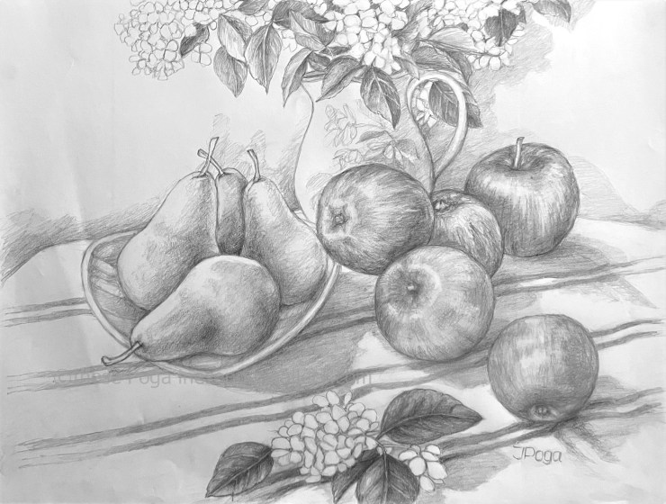 Pencil drawing, still life