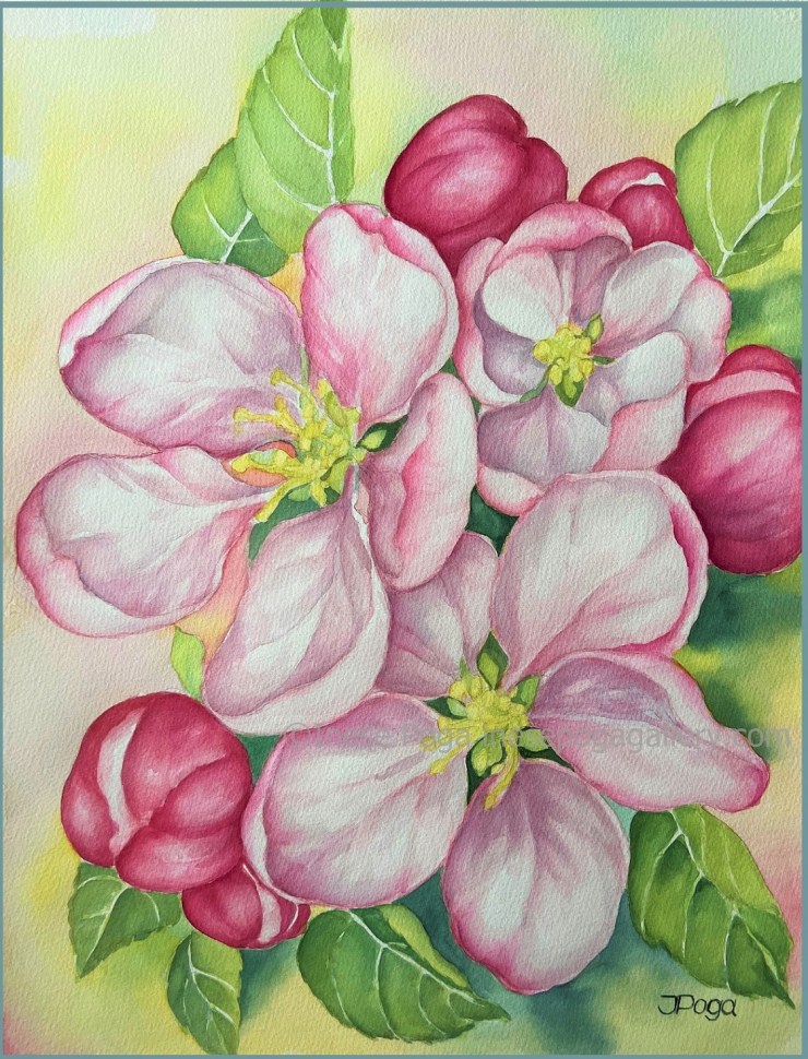 Apple tree blooms, watercolor painting for sale