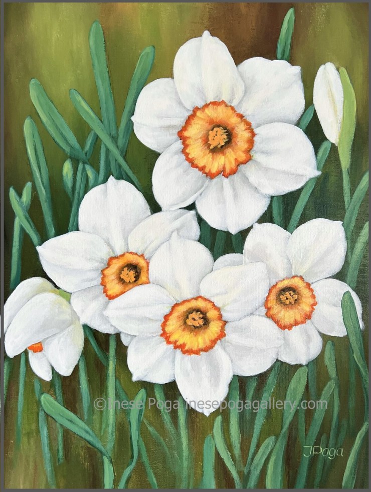 White daffodils, white for art therapy