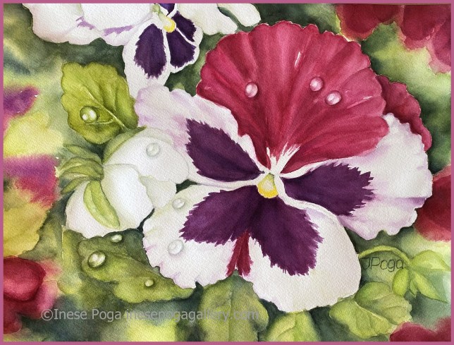Watercolor painting, purple pansy watercolor