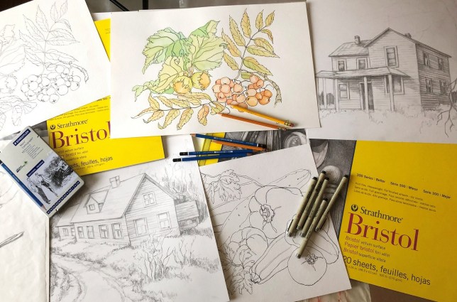 Art supplies for drawing