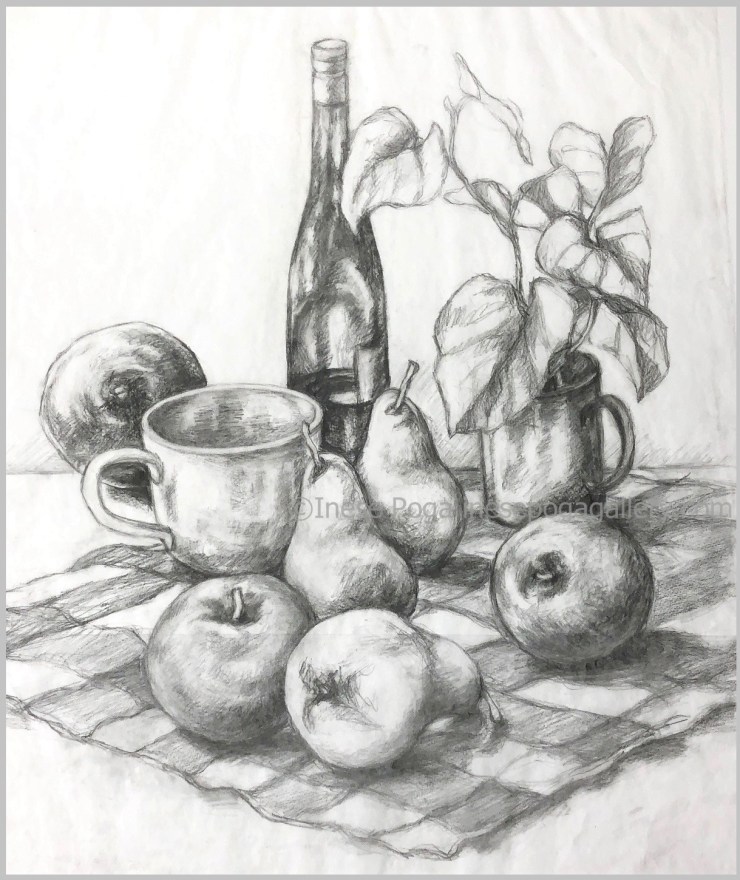 Drawing still life