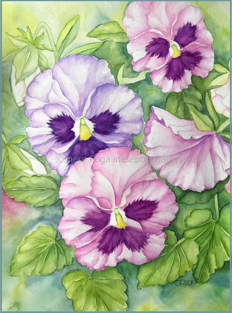 Spring pansies, watercolor paintings
