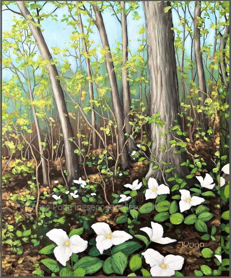 Trillium forest, original art