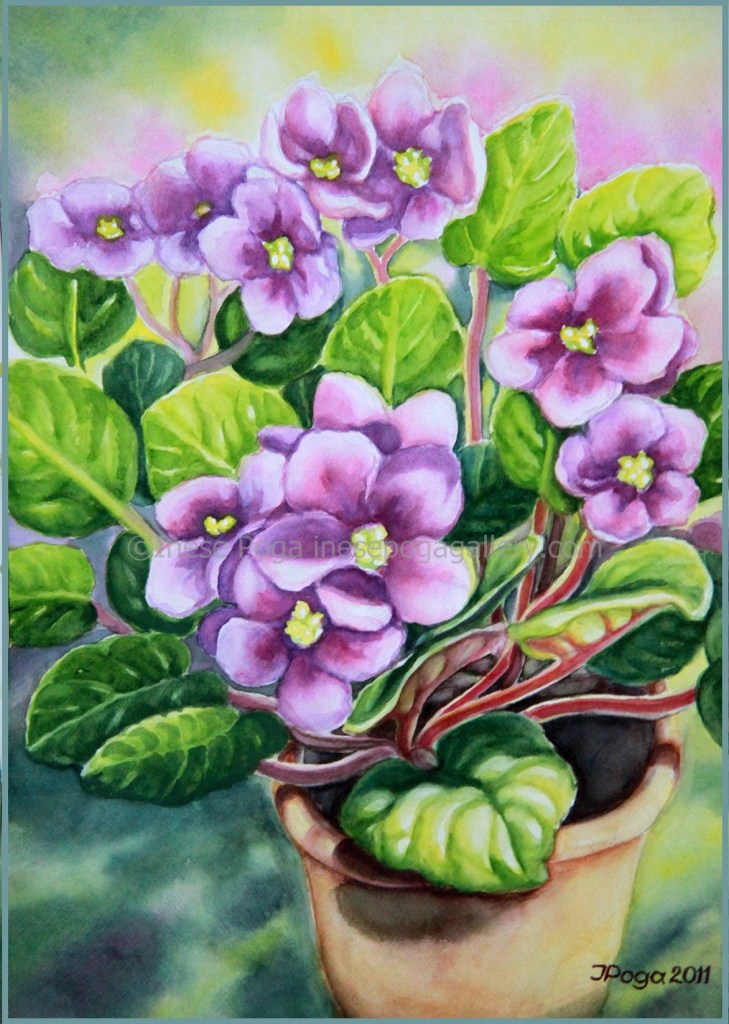 Watercolor painting, African violet in purple