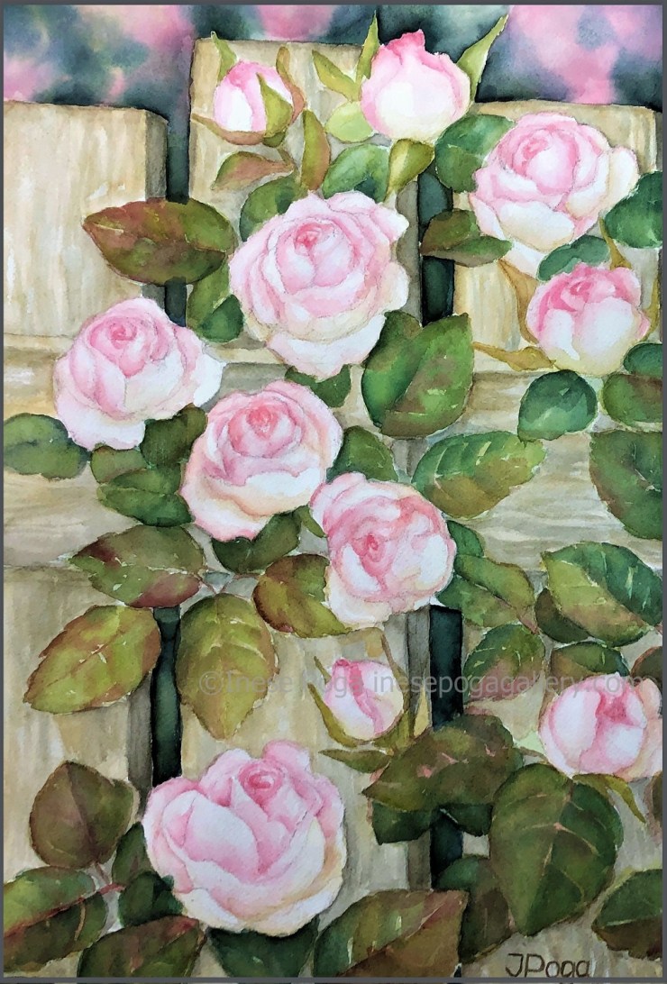 Garden roses, watercolor painting for sale