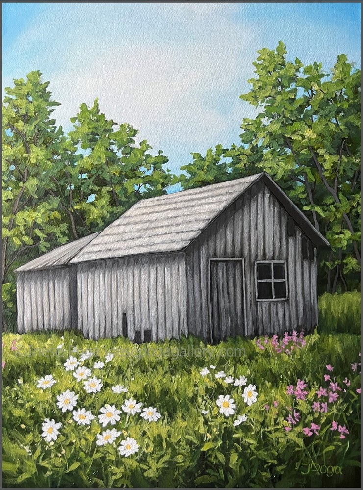 Summer meadow, country barn