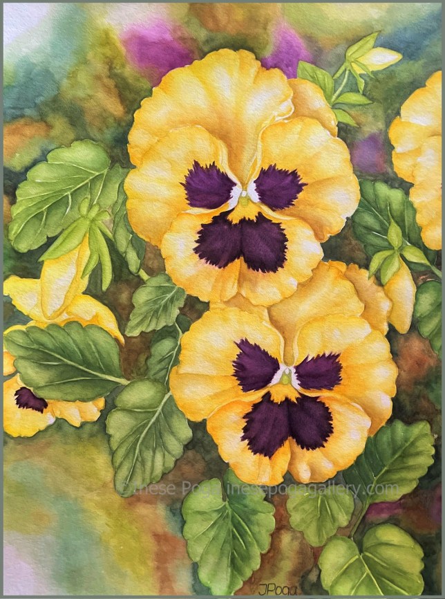 Home, yellow pansies, floral watercolor