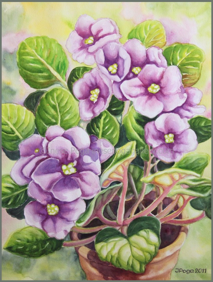 Watercolor painting, African violet in light purple