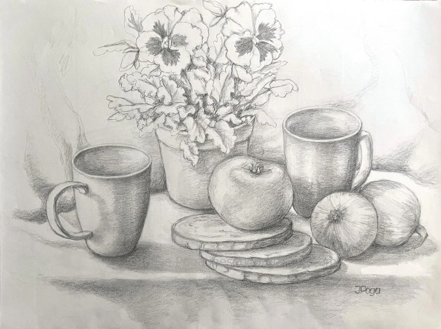 pencil drawing, pansies and vegetables