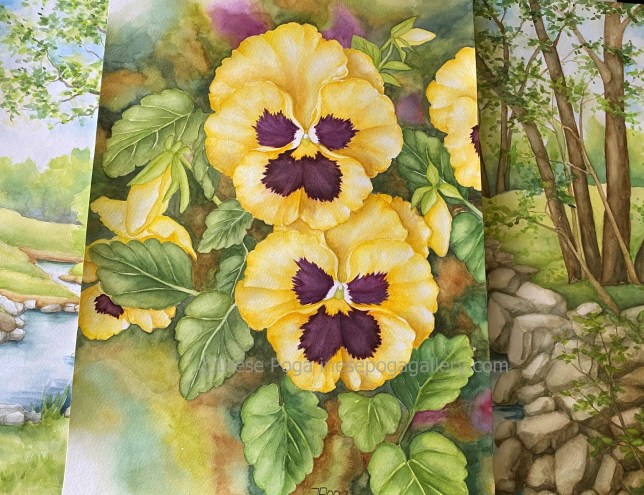 Yellow pansies, watercolor