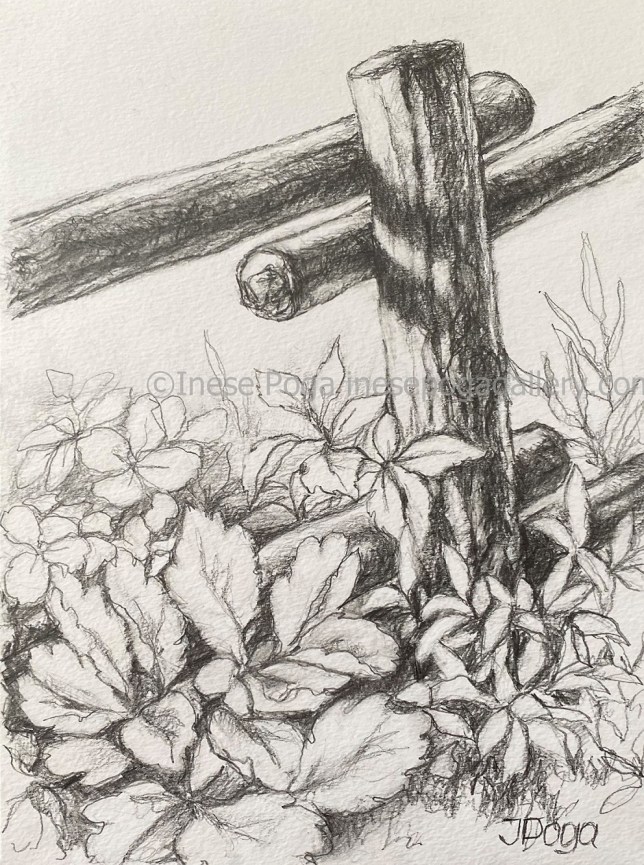 Fence drawing