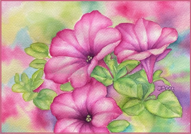 Watercolor painting, pink petunias