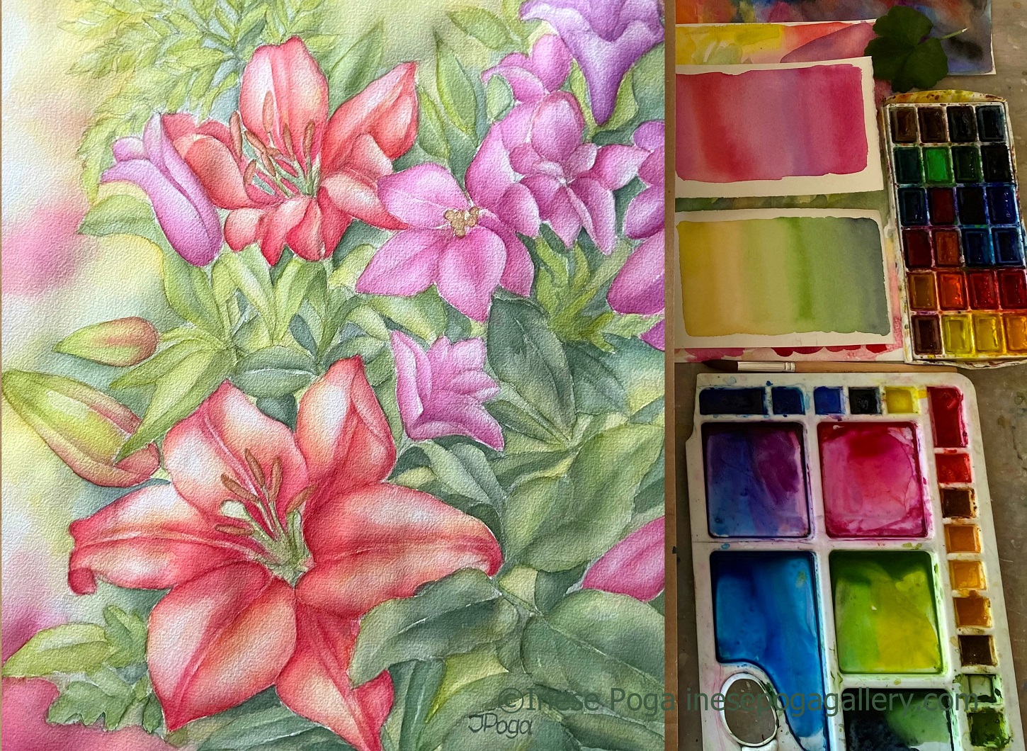 Watercolor painting of pink flowers