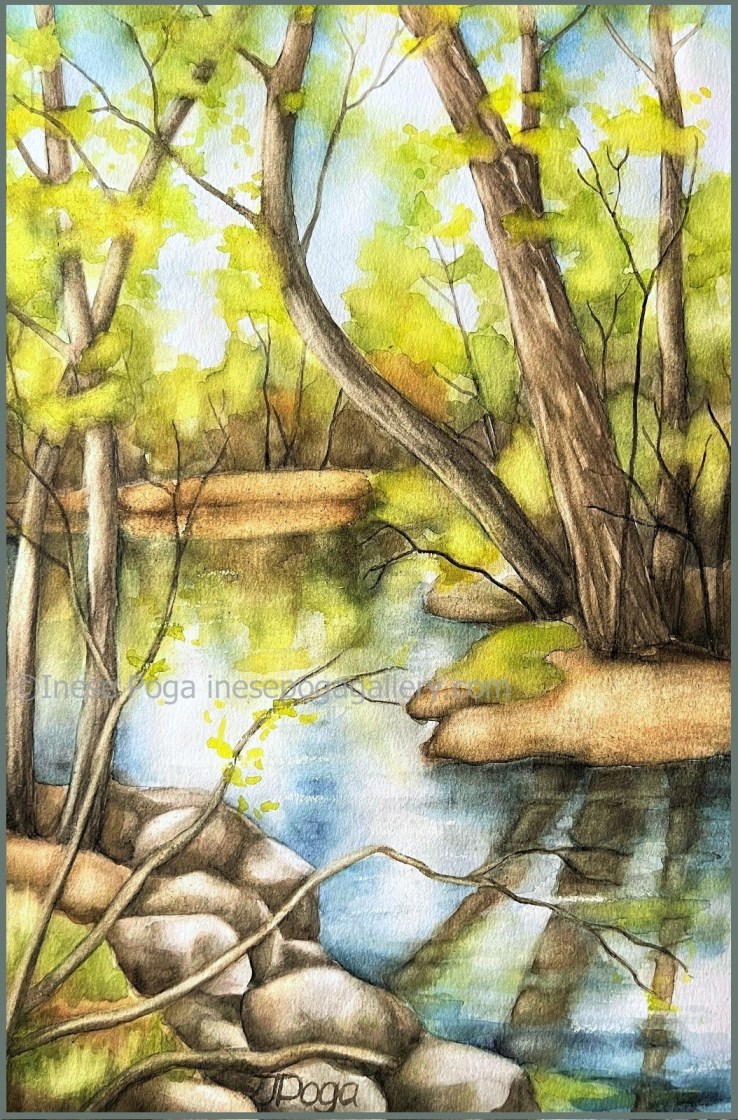 Spring creek landscape