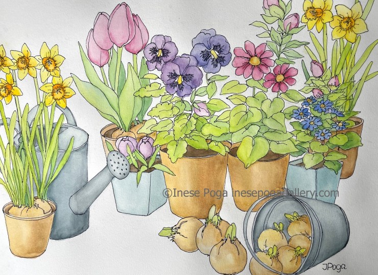Sketching spring plants and garden