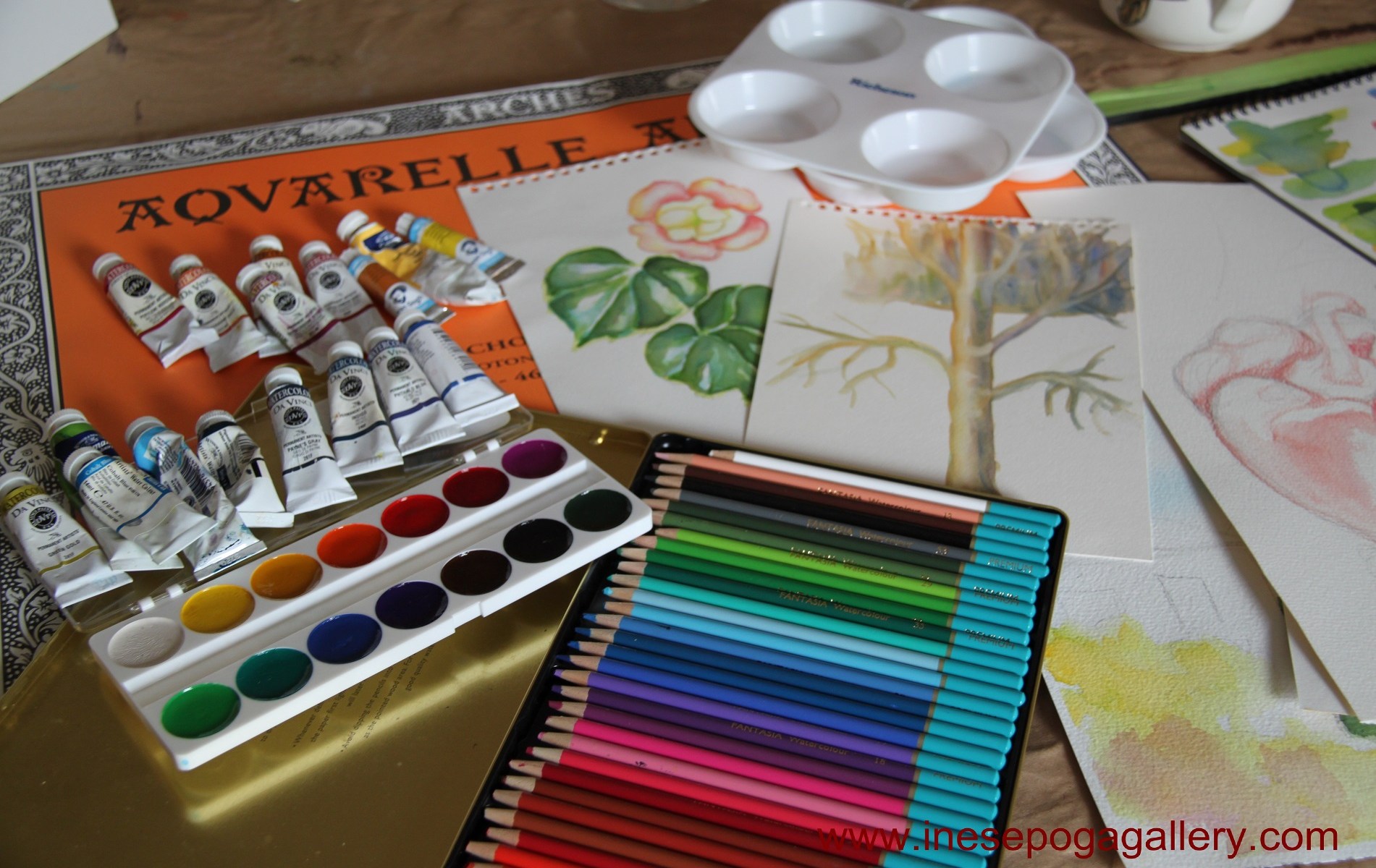 Contact Inese Poga's art studio, art classes