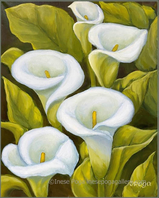 White calla lilies, acrylic painting