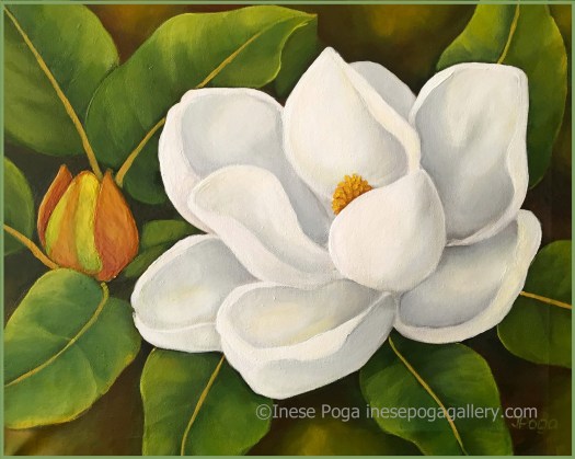 White magnolia painting