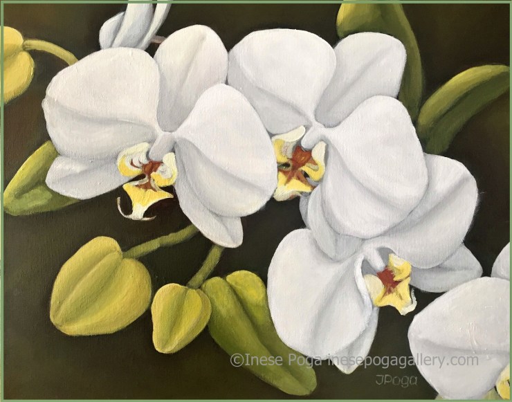 White orchids, acrylic painting
