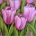 Want to create something beautiful? Start painting