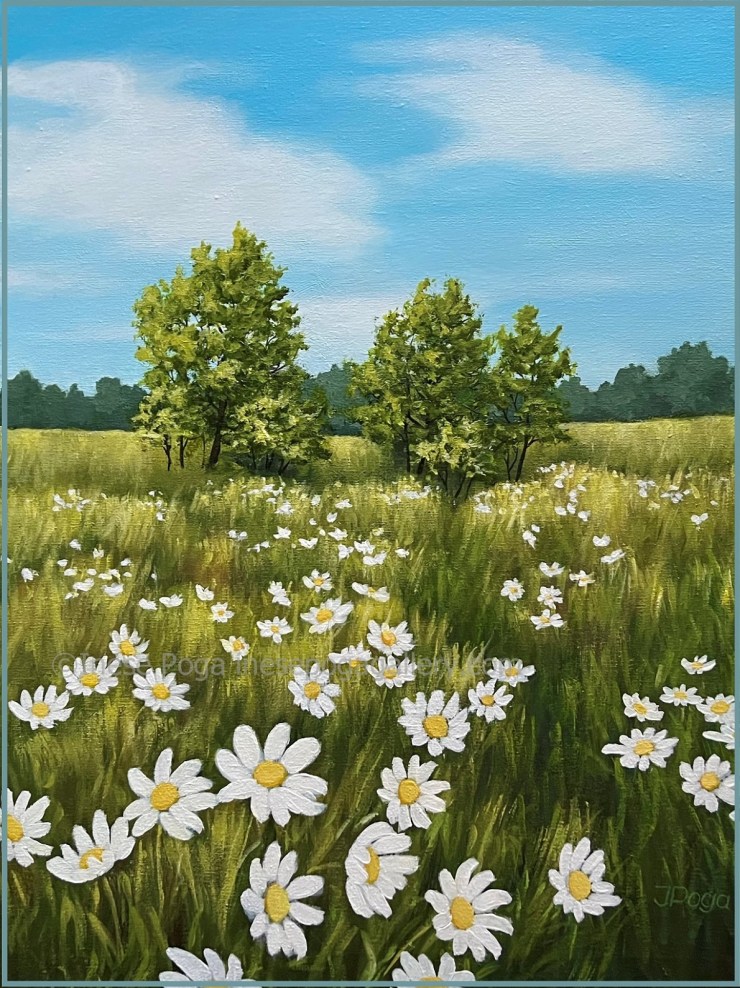 Daisy fields, acrylic artworks
