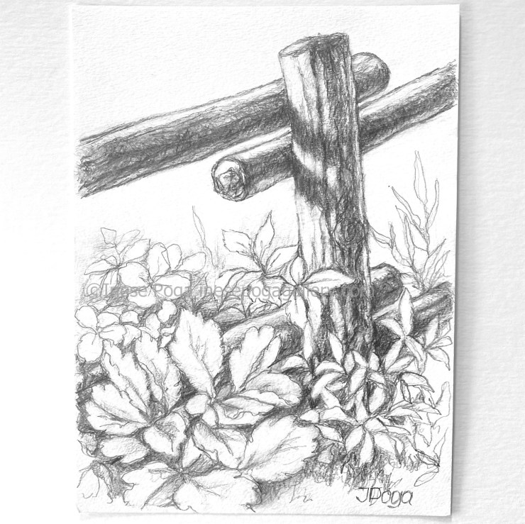 Garden fence drawing
